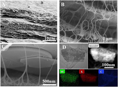 Skeleton-Structure WS2@CNT Thin-Film Hybrid Electrodes for High-Performance Quasi-Solid-State Flexible Supercapacitors